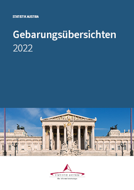 Preview image for 'Public Finance 2022'